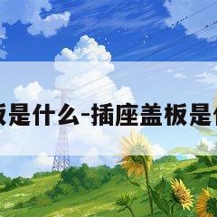 乐鱼app：盖板是什么-插座盖板是什么(图1)