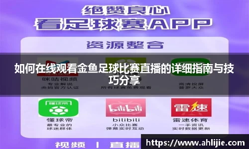 如何在线观看金鱼足球比赛直播的详细指南与技巧分享